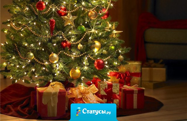 Ни золота, ни королевской власти, ни тех чудес, что выдумал народ, а просто человеческого счастья желаю вам, друзья, под Новый Год! 