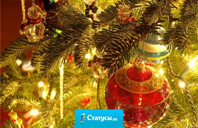 У меня тоже перед Новым годом будут скидки! Буду скидывать тех, кто молча в 