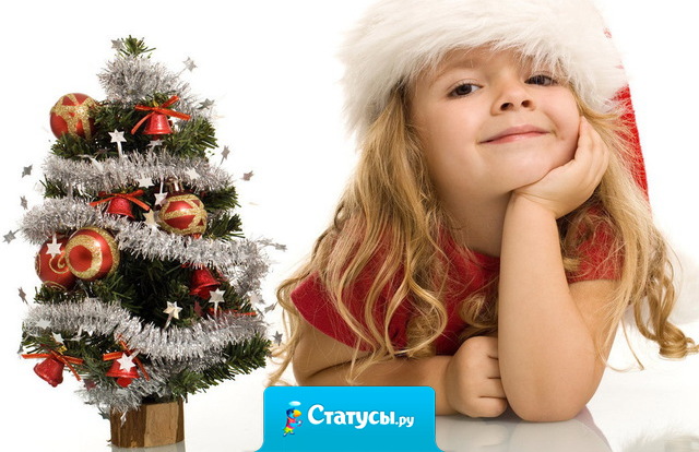 Планы на Новый год...  Укутаться в плед, смотреть любимые фильмы и кушать мандаринки. 