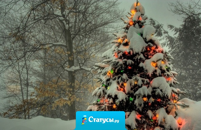 Мой статус ушел в лес, наверно за ёлкой.  