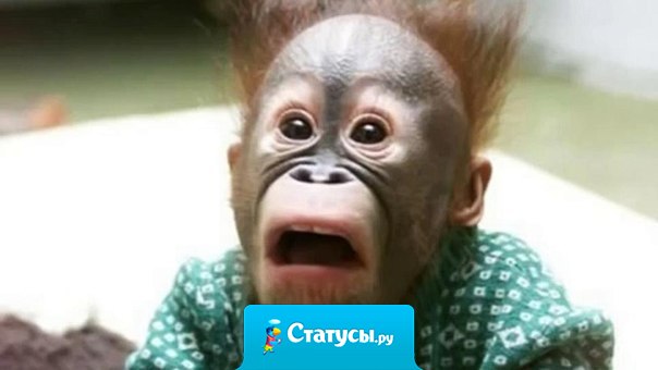 Спать боюсь: после того, как поспишь, на работу нужно идти.