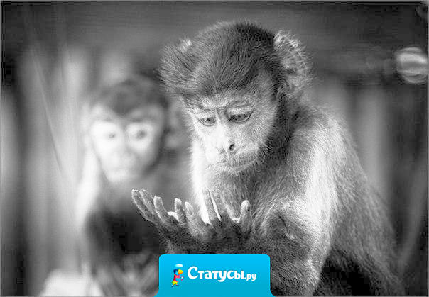 Получила зарплату... Пытаюсь ее рассмотреть...