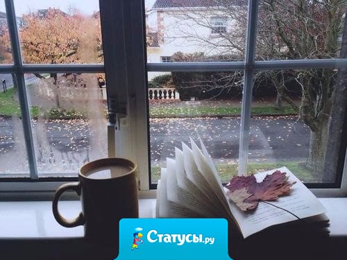 С холодной осенью чая будет больше...