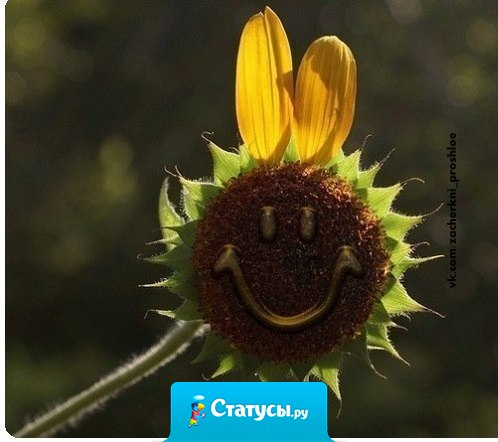 Любую депрессию надо встречать с улыбкой. Депрессия подумает, что вы идиот и сбежит.