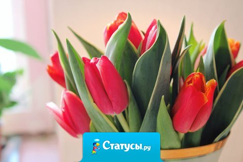 Заботясь о красоте, надо начинать с сердца и души, иначе никакая косметика не поможет. 