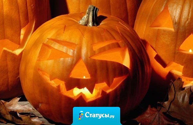 Еще точно не решил, кем я буду на Хэллоуин, кроме того, что пьяным