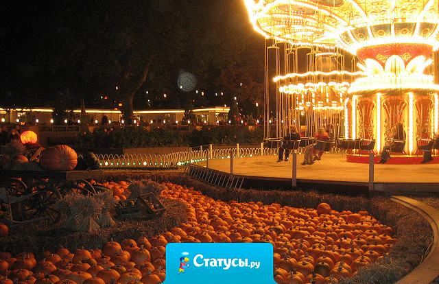 На Хеллоуин я собираюсь написать «Жизнь» на чисто белой футболке и раздавать лимоны незнакомцам!