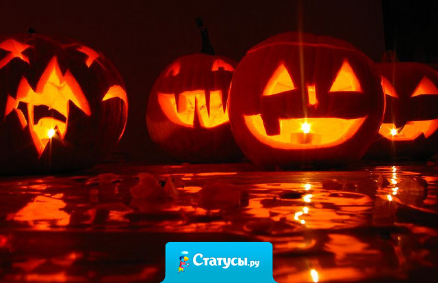 Поддерживайте хорошие отношения с вашими соседям. Они единственные, кто знает разницу между вашими хорошим криками и вашими плохими воплями. Счастливого Хэллоуина!