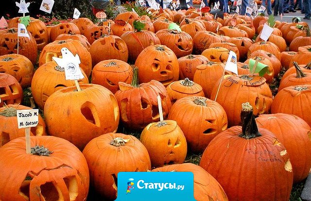 Хэллоуин близится… а ты уже купил топор к празднику? 