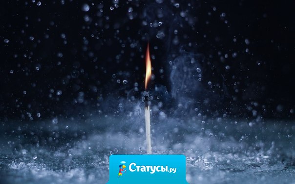 Чем мудрее становится человек, тем меньше он находит поводов для обид.