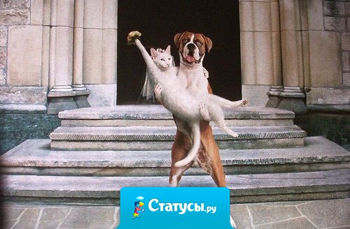 Порой самые счастливые пары складываются из совершенно разных людей.