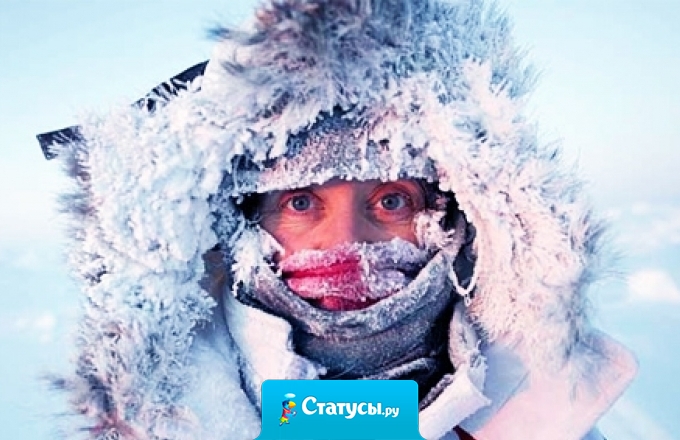 Тварь я дрожащая или пуховик надену?