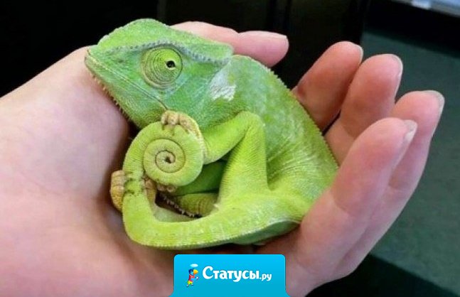 Это я стараюсь держать себя в руках.