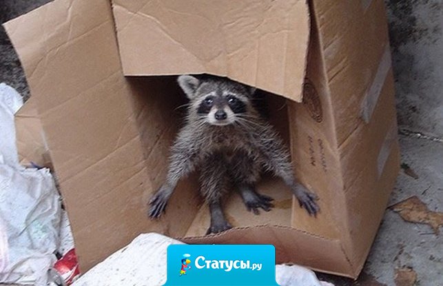 Это я получил диплом и стал очень успешным