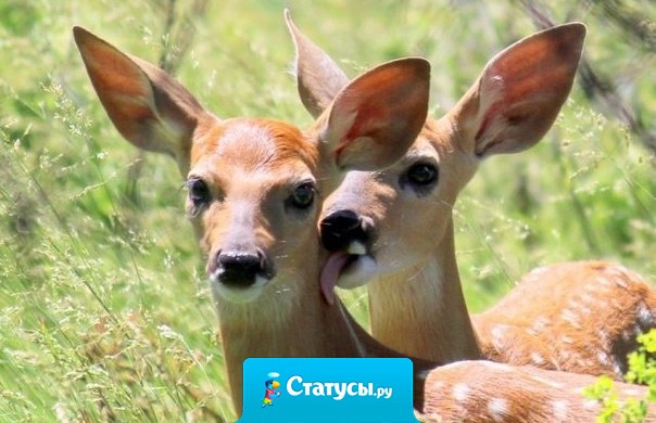 Это я, когда другой парень смотрит на мою девушку