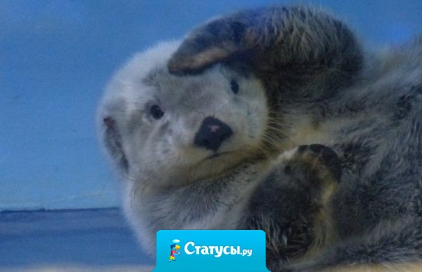 Это я высматриваю свои дальнейшие перспективы