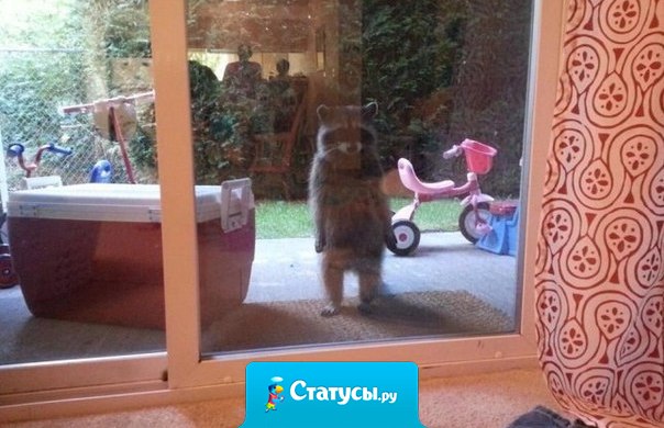 Это я с тоской осознаю, что все веселятся без меня