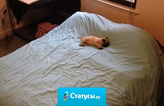 Это я пытаюсь выдать одиночество за самодостаточность