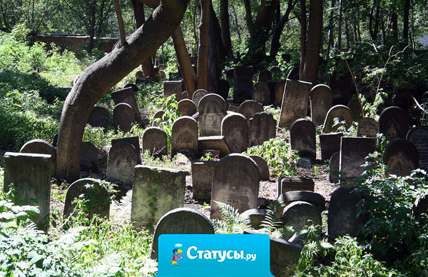 Объявление на воротах: 