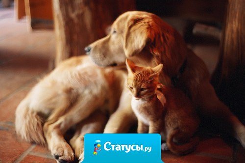 Я люблю осень, хотя и не люблю холод. Но зато именно в это время природа напоминает мне, насколько важно ценить домашнее тепло и уют.