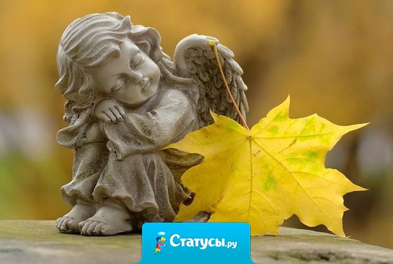 Все сложится. Все встанет на свои места. Все успокоится, получится, решится...