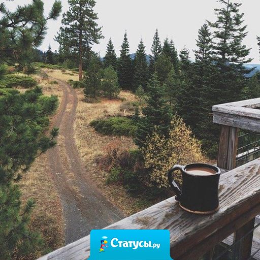 Счастье не приходит в вашу жизнь с фанфарами. Самые красивые вещи, те, что дают вам истинное счастье, приходят на цыпочках, тихо... и ждут, когда вы их заметите.