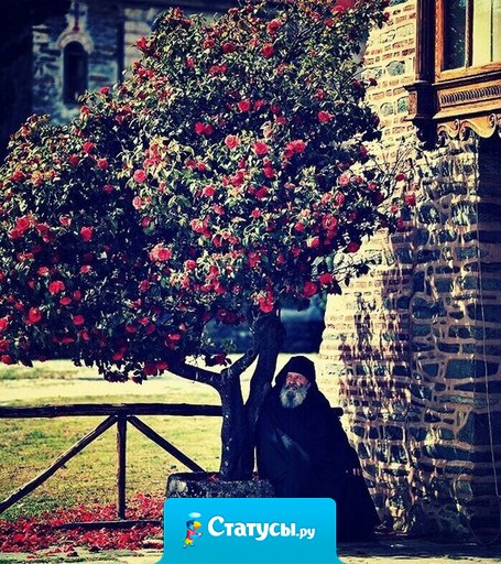 Помни, радость моя! Человек с благодарным сердцем никогда ни в чем не нуждается.