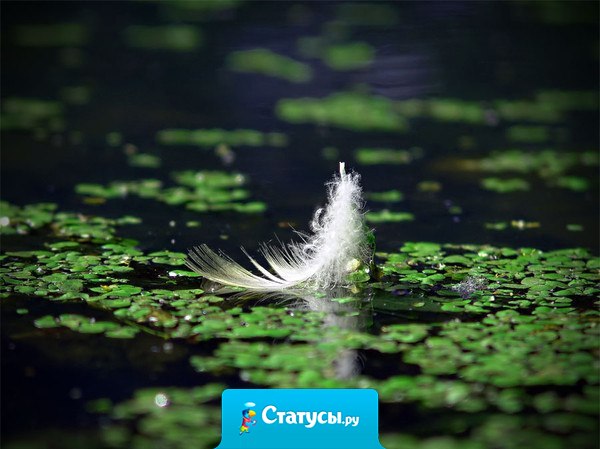 Если не знаешь, как поступить, то старайся поступать так, чтобы количество добра в мире хотя бы не стало меньше. 