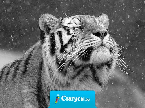 Если у человека есть зачем, он вынесет любое как.