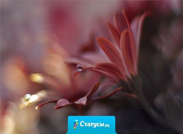 Я дышу, и значит - я люблю! Я люблю, и значит - я живу!