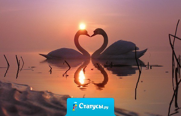 Незаменимых нет, но есть неповторимые. 