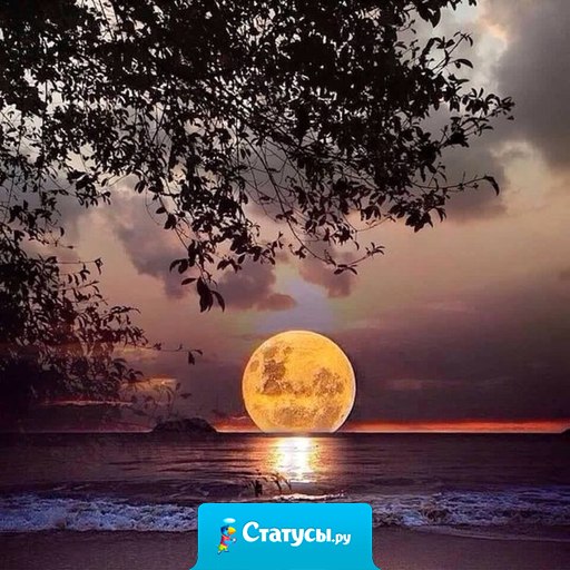 Чтобы придать очертания большой мечте, нужны пространство и тишина...