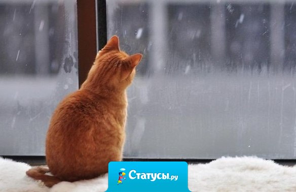 Сразу видно, что погода — женского рода. Всякие там дядьки-синоптики пытаются её спрогнозировать, а она что хочет — то и чудит!