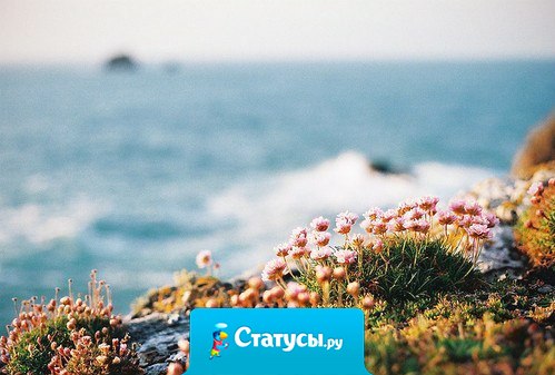 Если мы свободны от ожиданий, то каждое мгновение — подарок.