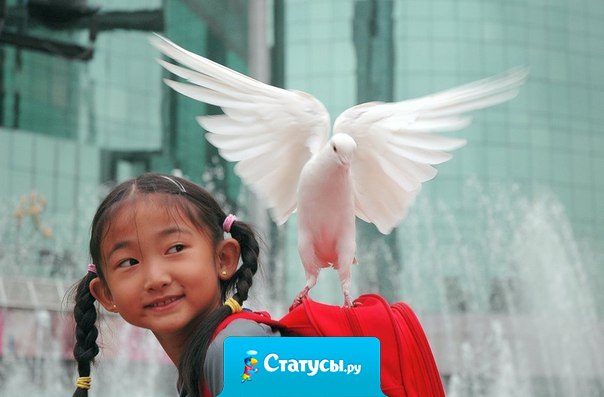 Следует быть всегда деятельным, это необходимо для счастья, ибо силы даны человеку для того, чтобы их применять.