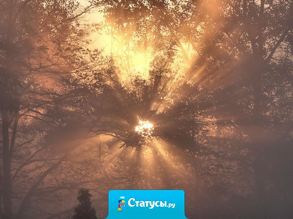 В воле человека есть сила стремления, которая превращает туман внутри нас в солнце. 