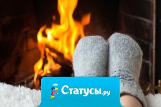 Отношения между кошкой и человеком намного ближе, чем они могут быть между двумя кошками. 