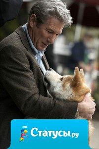 Не бросайте животных... прошу вас, они самые преданные и любят вас независимо от того, кто вы и сколько у вас денег. 