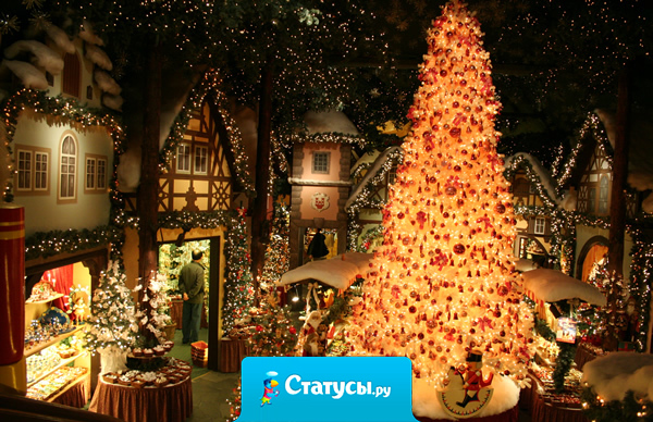 Никогда не переставайте верить в чудо! Всех с наступающим! 