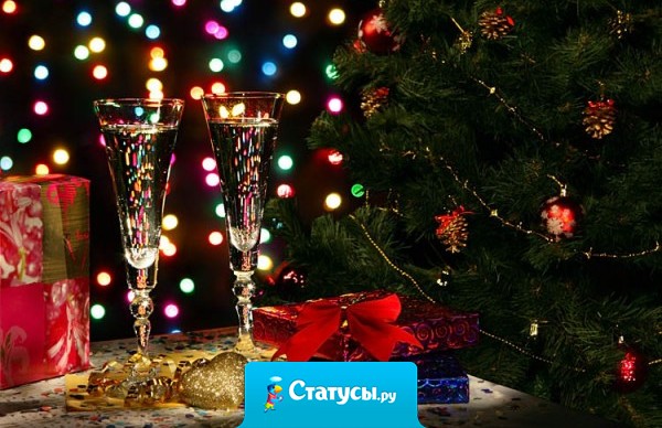 Дедушка Мороз, на прошлый новый год я просила у тебя парня. Так вот забери назад этого козла и давай лучше фломастеры.  