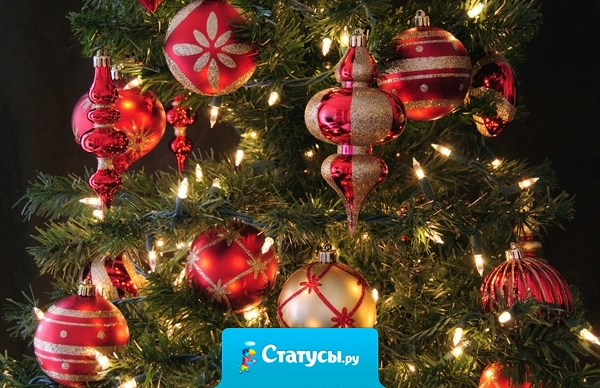 Желаю в наступающем году: забот не знать, деньжат не мерить, любить, надеяться и верить!!!  