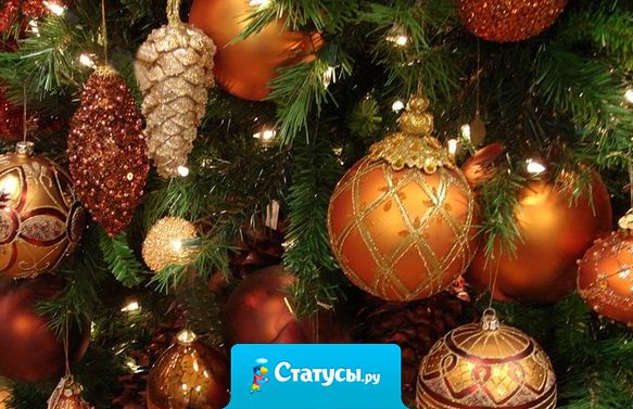 Желаю в следующем году примёрзнуть задницей ко льду! 