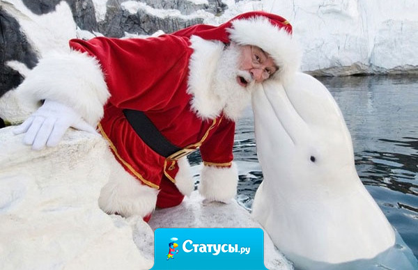 Дедушка Мороз, выходи! - кричали дети пританцовывая возле туалета. 