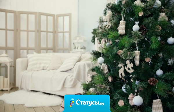 У меня через дорогу в доме на 9 этаже либо елку уже поставили либо коноплю до потолка выращивают! 