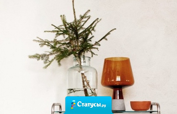 У нас в офисе есть традиция: перед Новым годом мы проводим конкурс “Куда же, чёрт побери, мы убрали ёлочные игрушки?!” 