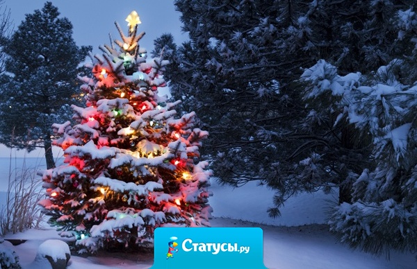 На Новый Год сяду под елку и буду ждать пока кто-нибудь будет рад такому подарку.  