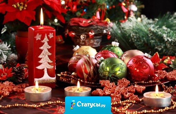 1 января - День независимости опорно-двигательной системы.