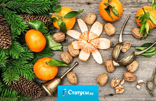 Новый год - мандарин мне в рот! Дед мороз - оливье мне в нос! 