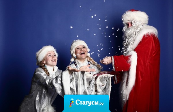 Дед Мороз, Дед Мороз, подари мне новый мозг! Йеллоупуки, Йеллоупуки, переставь мне с попы руки.