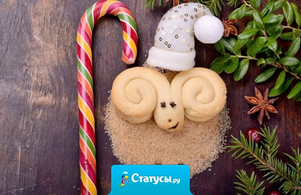 1 января. Проснулся, позавтракал, стемнело. 